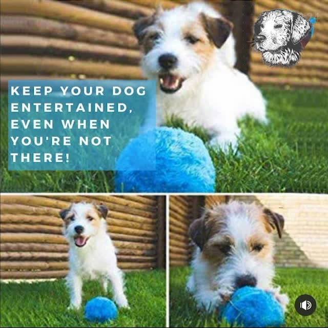 Auto-Movement Anti-Anxiety Active Moving Sphere